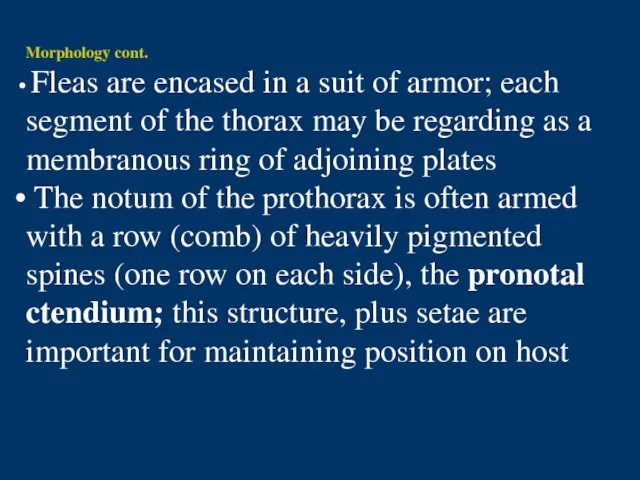 Morphology cont. Fleas are encased in a suit of armor;