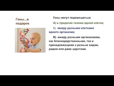 Гены могут перемещаться: А) в пределах генома одной клетки; Б).