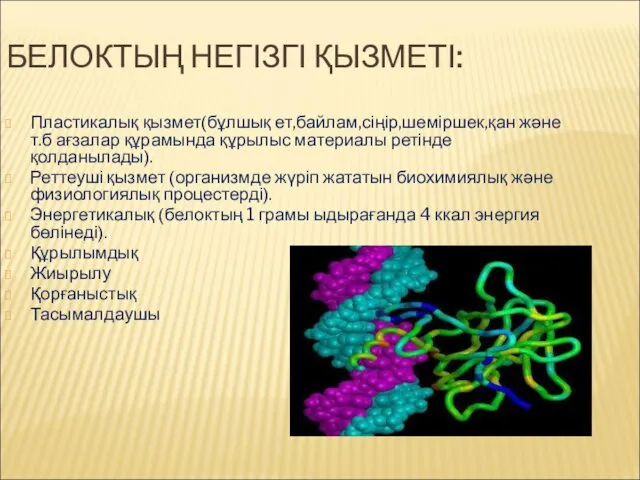 БЕЛОКТЫҢ НЕГІЗГІ ҚЫЗМЕТІ: Пластикалық қызмет(бұлшық ет,байлам,сіңір,шеміршек,қан және т.б ағзалар құрамында