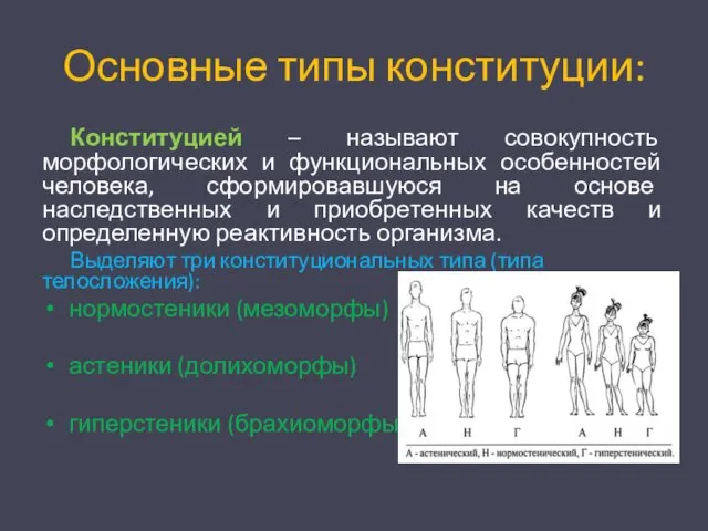 Основные типы конституции: Конституцией – называют совокупность морфологических и функциональных