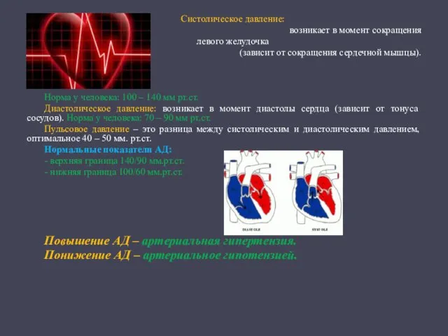 Систолическое давление: возникает в момент сокращения левого желудочка (зависит от