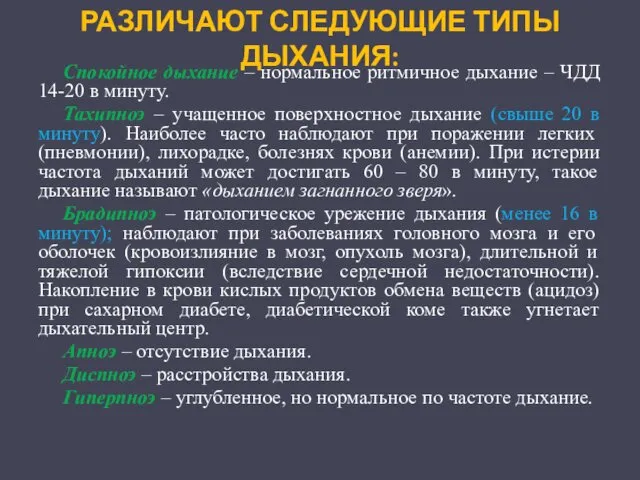 РАЗЛИЧАЮТ СЛЕДУЮЩИЕ ТИПЫ ДЫХАНИЯ: Спокойное дыхание – нормальное ритмичное дыхание