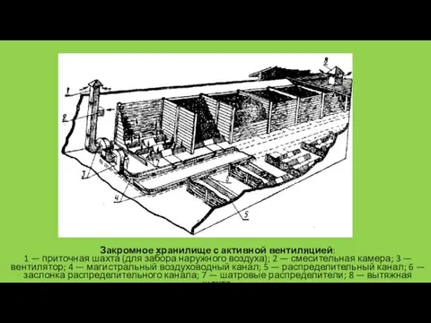 Закромное хранилище с активной вентиляцией: 1 — приточная шахта (для