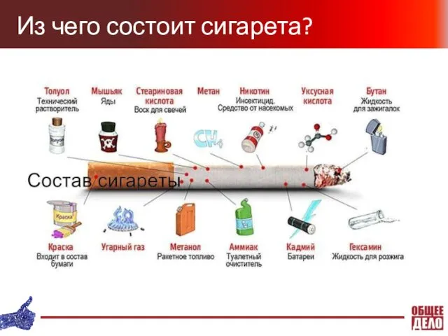 Из чего состоит сигарета?