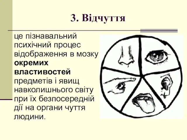 3. Відчуття це пізнавальний психічний процес відображення в мозку окремих