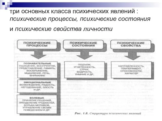 три основных класса психических явлений : психические процессы, психические состояния и психические свойства личности