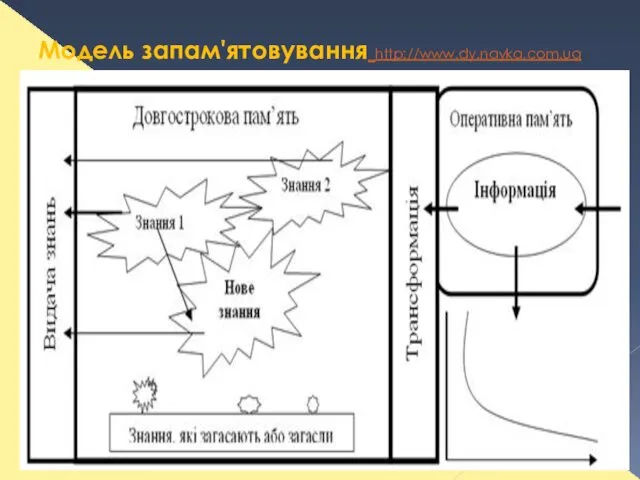 Модель запам'ятовування http://www.dy.nayka.com.ua