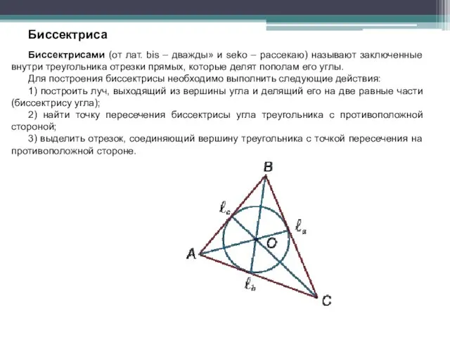 Биссектриса Биссектрисами (от лат. bis – дважды» и seko –