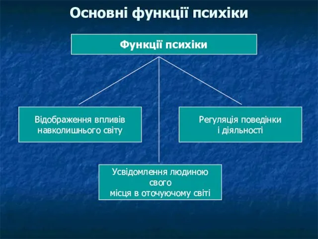 Основні функції психіки Функції психіки Відображення впливів навколишнього світу Регуляція