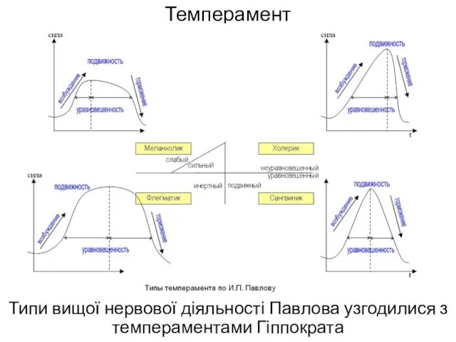 Темперамент Типи вищої нервової діяльності Павлова узгодилися з темпераментами Гіппократа