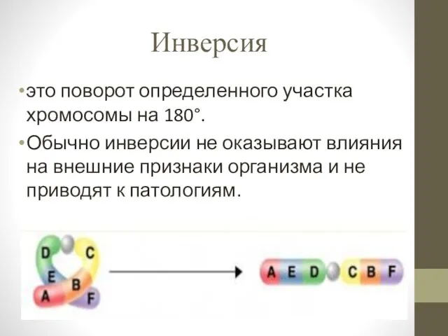 Инверсия это поворот определенного участка хромосомы на 180°. Обычно инверсии