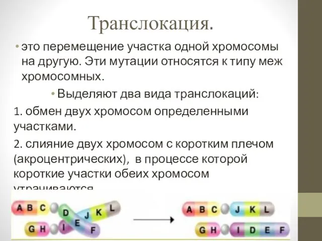 Транслокация. это перемещение участка одной хромосомы на другую. Эти мутации