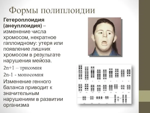 Формы полиплоидии Гетероплоидия (анеуплоидия) –изменение числа хромосом, некратное гаплоидному: утеря