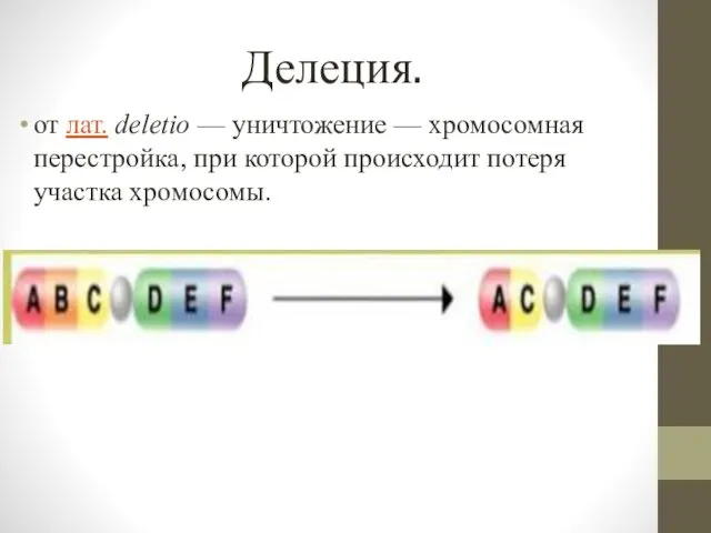Делеция. от лат. deletio — уничтожение — хромосомная перестройка, при которой происходит потеря участка хромосомы.
