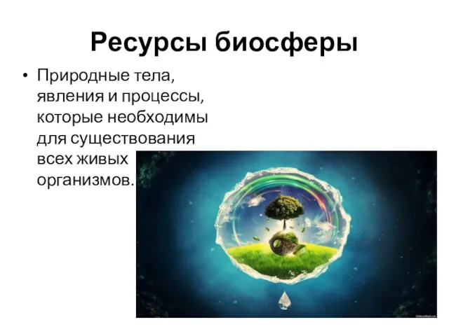 Ресурсы биосферы Природные тела, явления и процессы, которые необходимы для существования всех живых организмов.