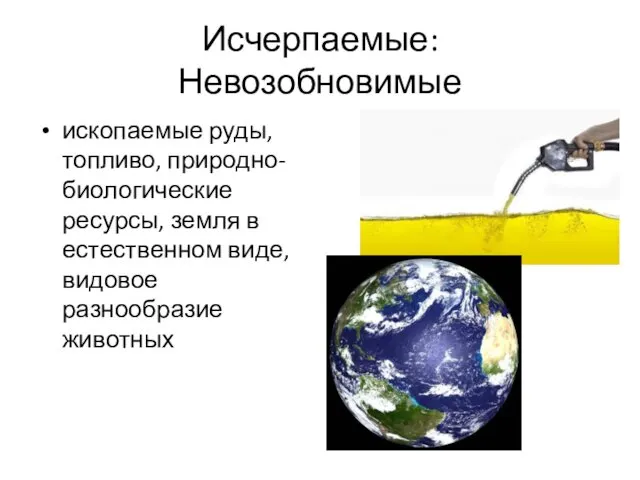 Исчерпаемые: Невозобновимые ископаемые руды, топливо, природно-биологические ресурсы, земля в естественном виде, видовое разнообразие животных