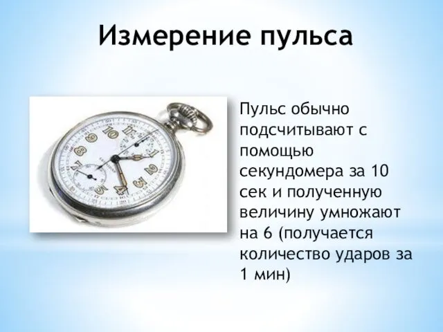 Измерение пульса Пульс обычно подсчитывают с помощью секундомера за 10