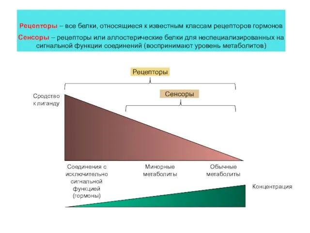 Сродство к лиганду Соединения с исключительно сигнальной функцией (гормоны) Обычные