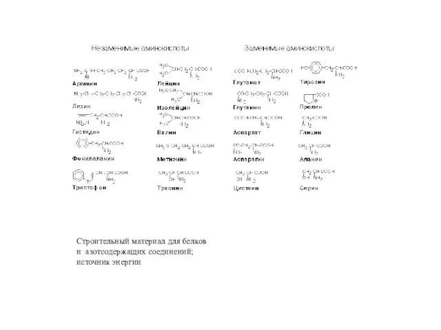 Строительный материал для белков и азотсодержащих соединений; источник энергии