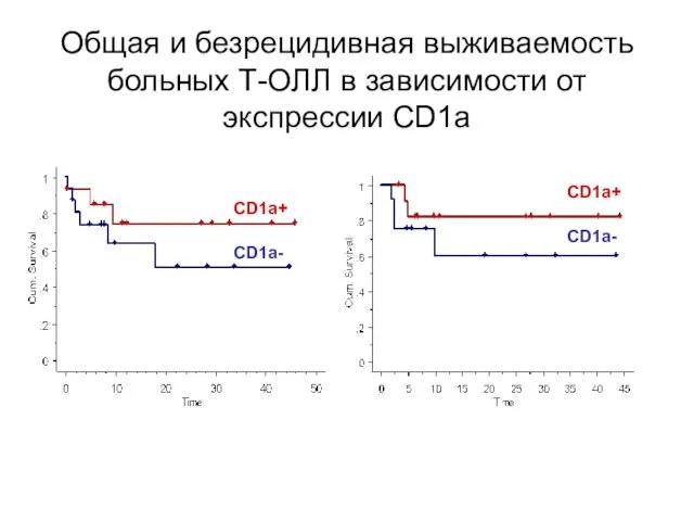 Общая и безрецидивная выживаемость больных Т-ОЛЛ в зависимости от экспрессии CD1a CD1a+ CD1a- CD1a+ CD1a-