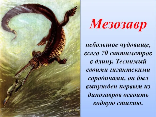 Мезозавр небольшое чудовище, всего 70 сантиметров в длину. Теснимый своими
