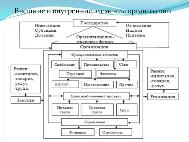 Внешние и внутренние элементы организации