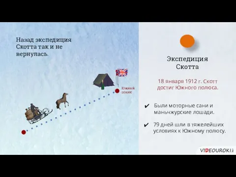 Экспедиция Скотта Южный полюс Были моторные сани и маньчжурские лошади. 79 дней шли
