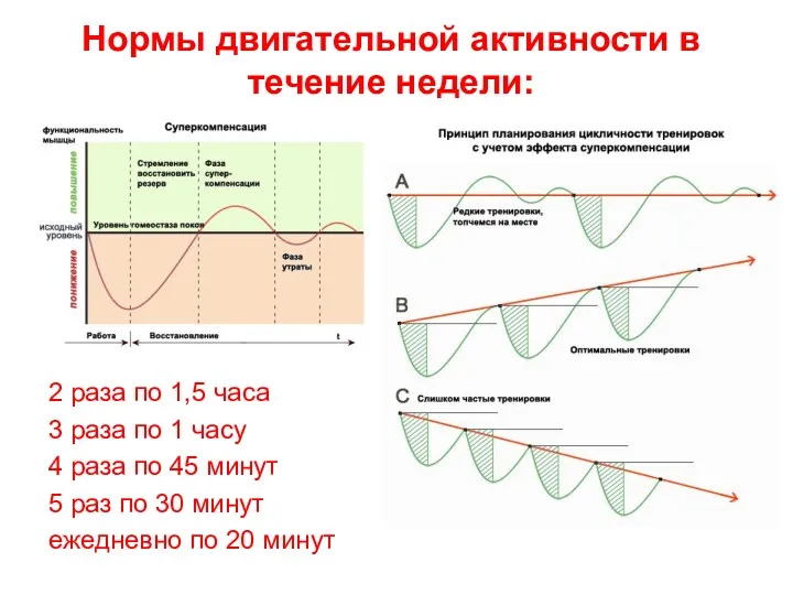 Нормы двигательной активности в течение недели: 2 раза по 1,5