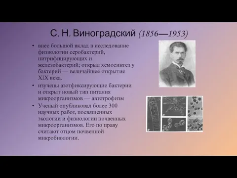 С. Н. Виноградский (1856—1953) внес большой вклад в исследование физиологии