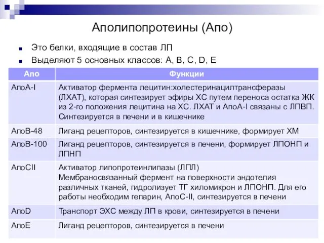 Аполипопротеины (Апо) Это белки, входящие в состав ЛП Выделяют 5