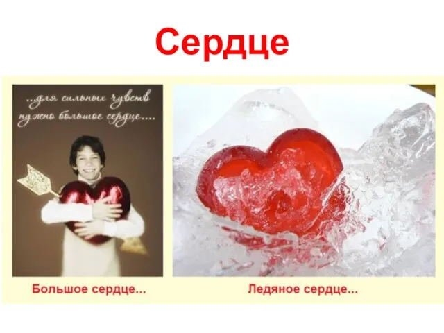 Сердце