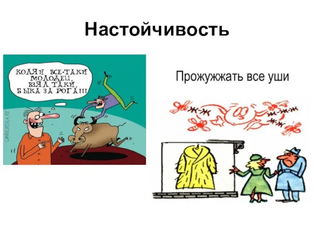 Настойчивость