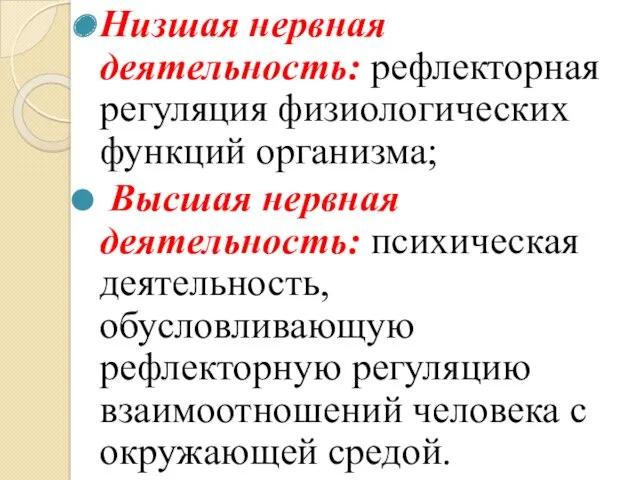 Низшая нервная деятельность: рефлекторная регуляция физиологических функций организма; Высшая нервная