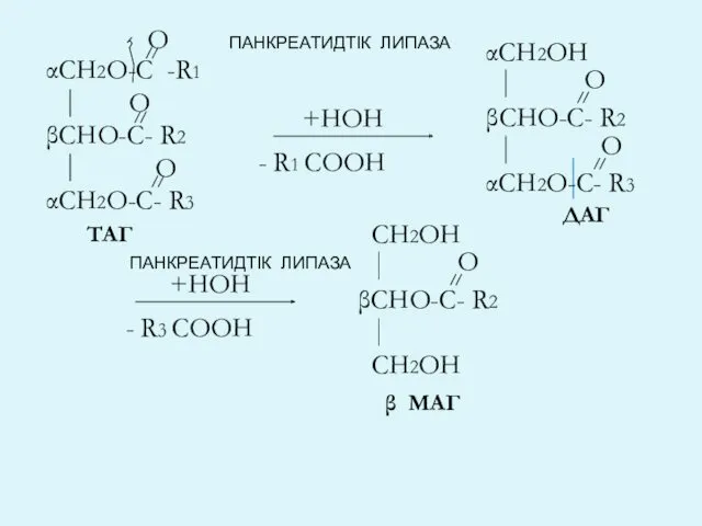 αСН2О-С -R1 βСНО-С- R2 О αСН2О-С- R3 - R1 СООН