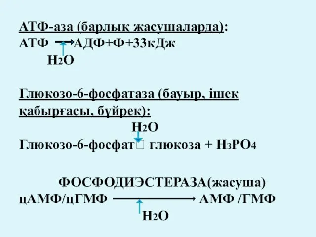 АТФ-аза (барлық жасушаларда): АТФ АДФ+Ф+33кДж Н2О Глюкозо-6-фосфатаза (бауыр, ішек қабырғасы, бүйрек): Н2О Глюкозо-6-фосфат?