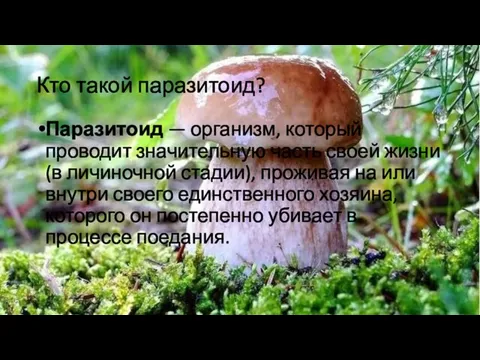 Кто такой паразитоид? Паразитоид — организм, который проводит значительную часть