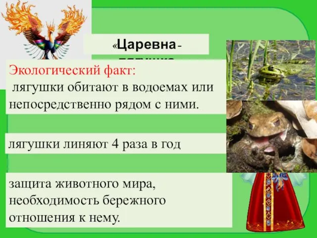 «Царевна- лягушка Экологический факт: лягушки обитают в водоемах или непосредственно