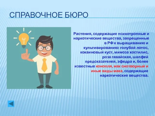 СПРАВОЧНОЕ БЮРО Растения, содержащие психотропные и наркотические вещества, запрещенные в