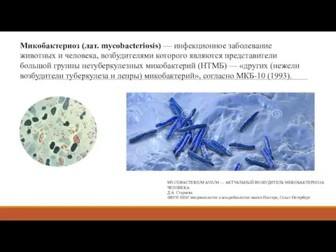 Микобактериоз (лат. mycobacteriosis) — инфекционное заболевание животных и человека, возбудителями которого являются представители