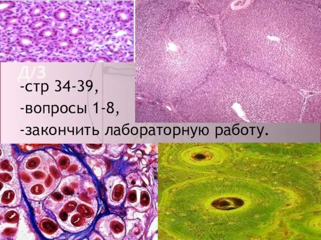 Д/З -стр 34-39, -вопросы 1-8, -закончить лабораторную работу.