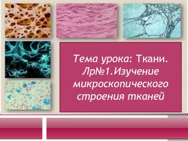 . Тема урока: Ткани. Лр№1.Изучение микроскопического строения тканей