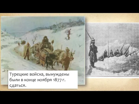 Турецкие войска, вынуждены были в конце ноября 1877 г. сдаться.