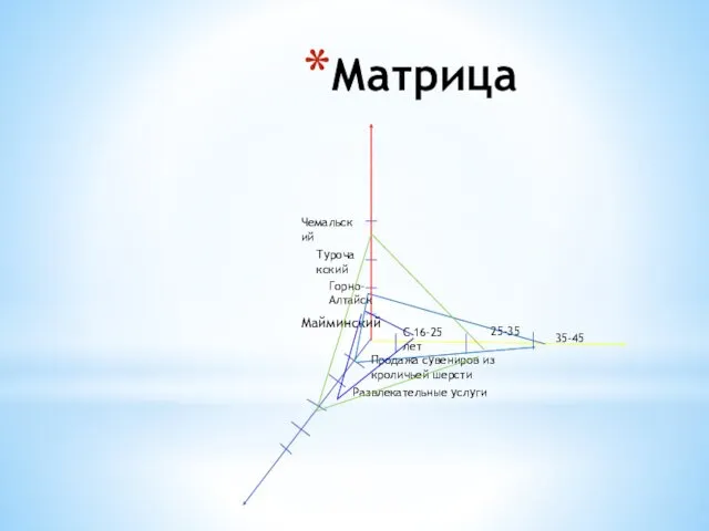 Матрица Майминский Горно-Алтайск Турочакский Чемальский С 16-25 лет 25-35 35-45