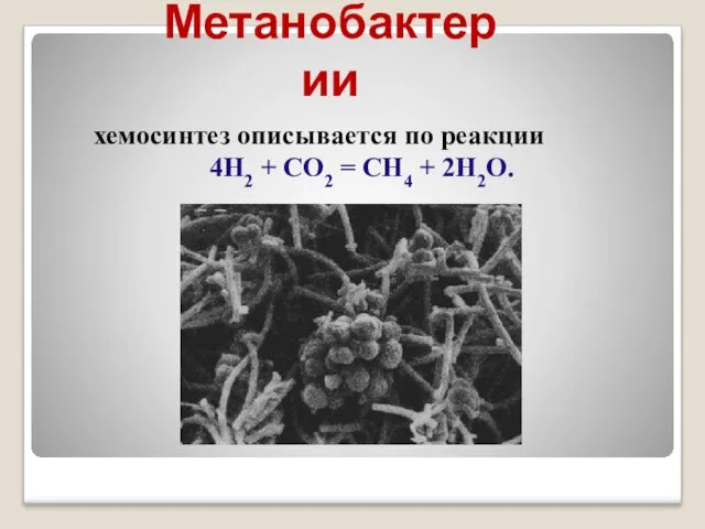 Метанобактерии хемосинтез описывается по реакции 4H2 + CO2 = CH4 + 2H2O.