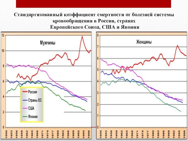 Россия перед демографическими вызовами XXI века Стандартизованный коэффициент смертности от