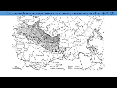 Подзолисто-болотные почвы относятся к почвам таежно-лесных областей (В, Д2).