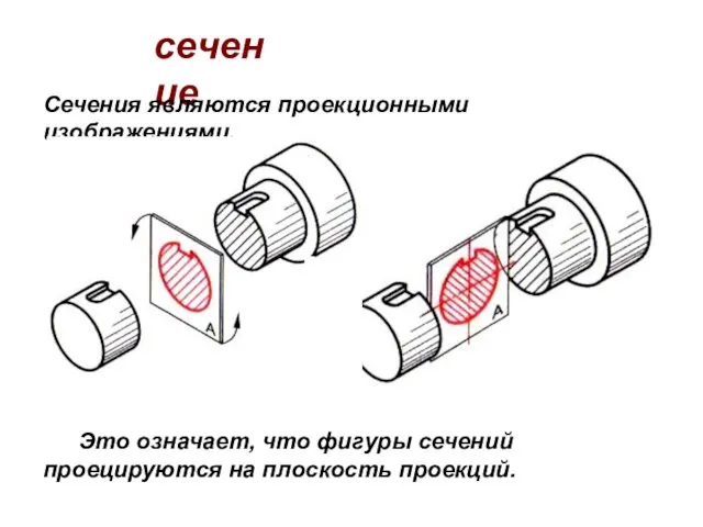 сечение Сечения являются проекционными изображениями. Это означает, что фигуры сечений проецируются на плоскость проекций.