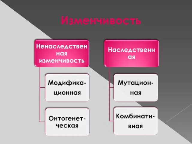 Изменчивость