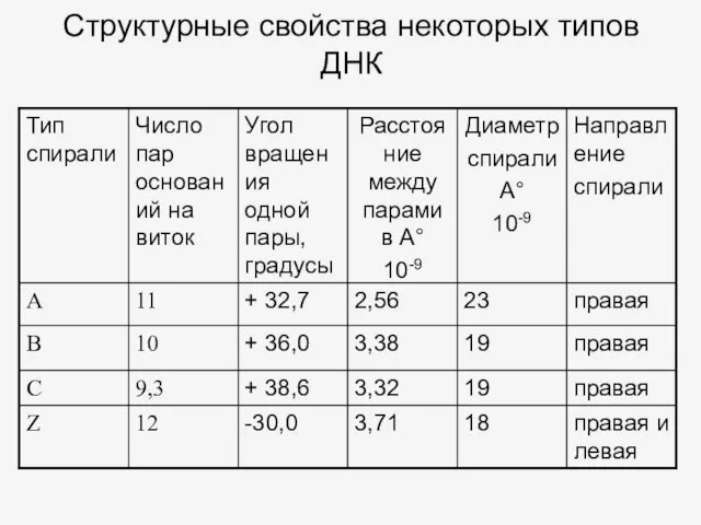 Структурные свойства некоторых типов ДНК