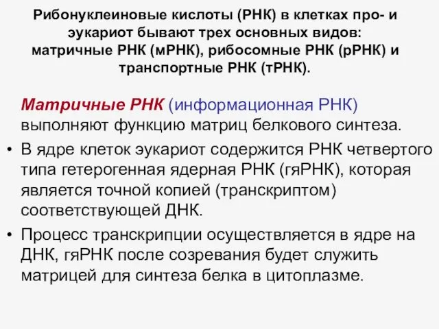 Рибонуклеиновые кислоты (РНК) в клетках про- и эукариот бывают трех